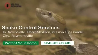 Snake Control Services