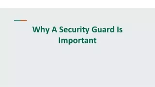 why a security guard is important