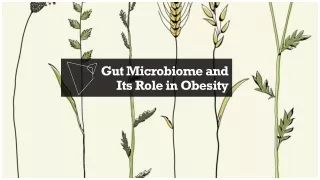Gut Microbiome and its role in obesity