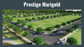 Prestige Marigold in Bangalore