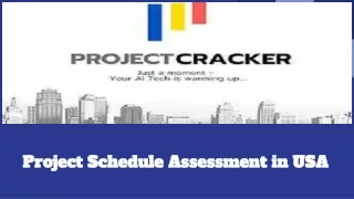 Project Schedule Assessment in USA