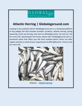 Atlantic Herring | Globalegersund.com