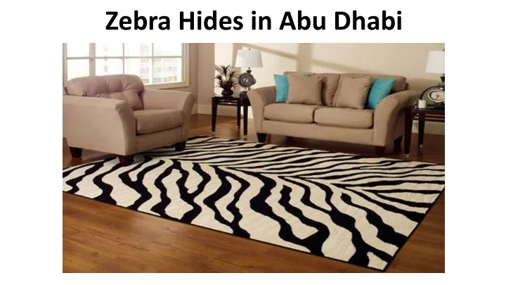 zebra hides in abu dhabi