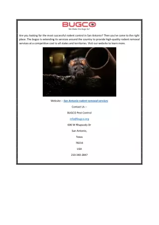 San Antonio Rodent Removal Services Bugco.org
