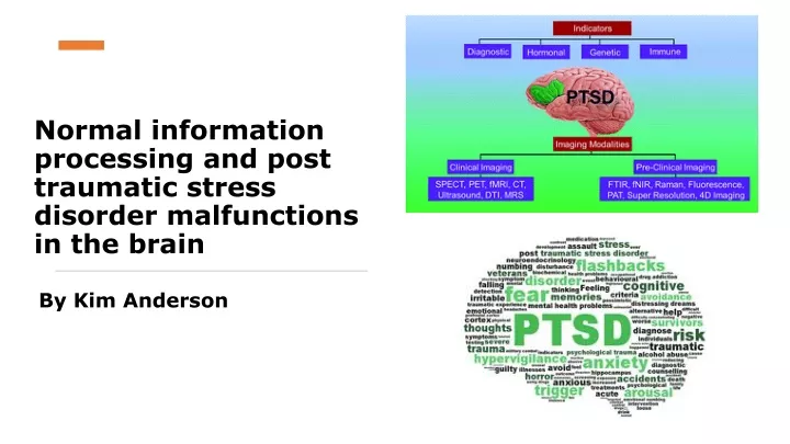 normal information processing and post traumatic stress disorder malfunctions in the brain