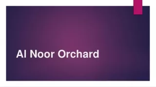 Al Noor Orchard 1