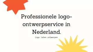 Professionele logo-ontwerpservice in Nederland.