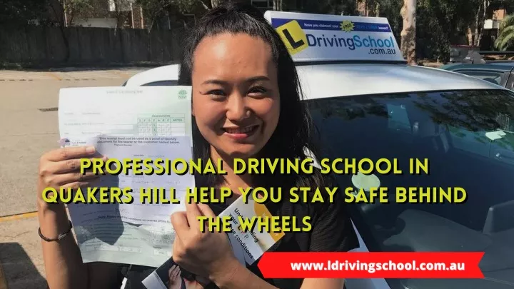 professional driving school in professional