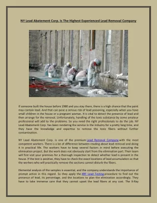 ny lead abatement corp is the highest experienced
