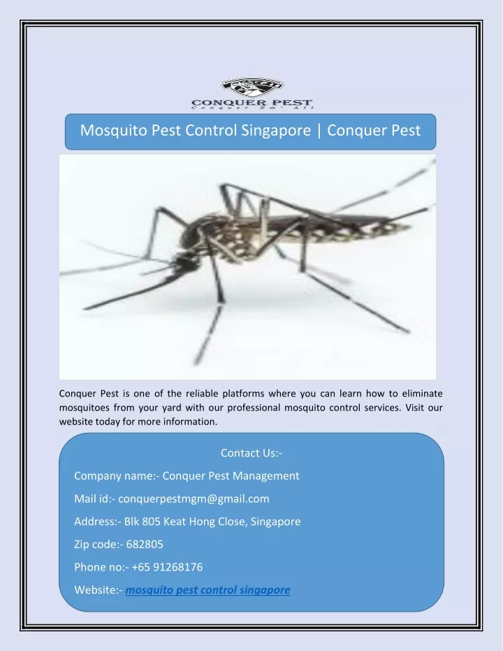 mosquito pest control singapore conquer pest