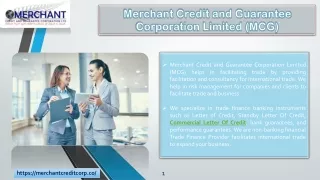 Merchant Credit and Guarantee Corporation Limited