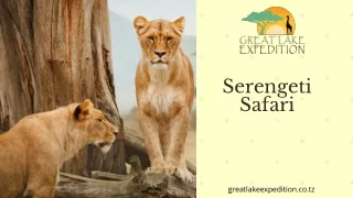 Serengeti Safari - Great Lake Expedition