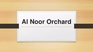 Al Noor Orchard