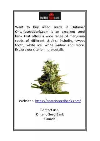 Seed Bank Ontario  Ontarioseedbank.com