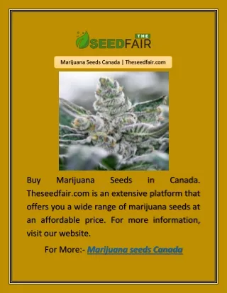 Marijuana Seeds Canada | Theseedfair.com