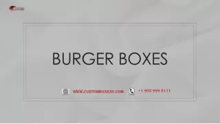 Buy Burger boxes wholesale with free Shipping in USA