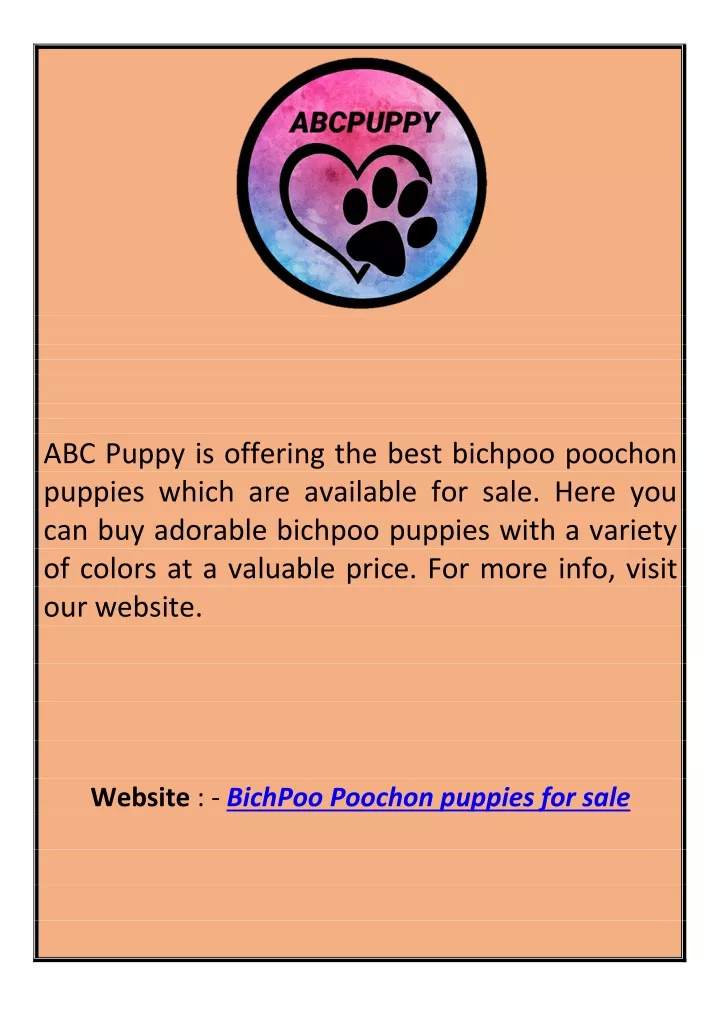 abc puppy is offering the best bichpoo poochon