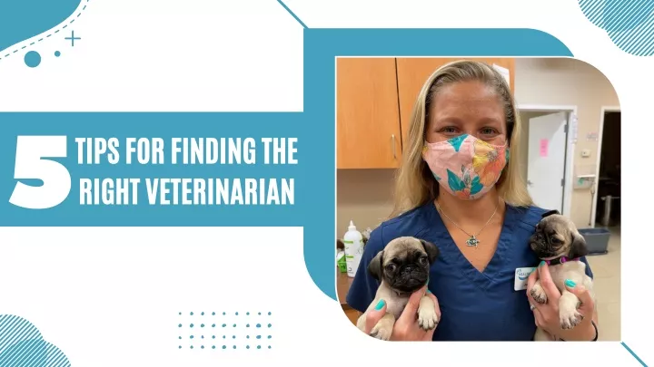 tips for finding the right veterinarian