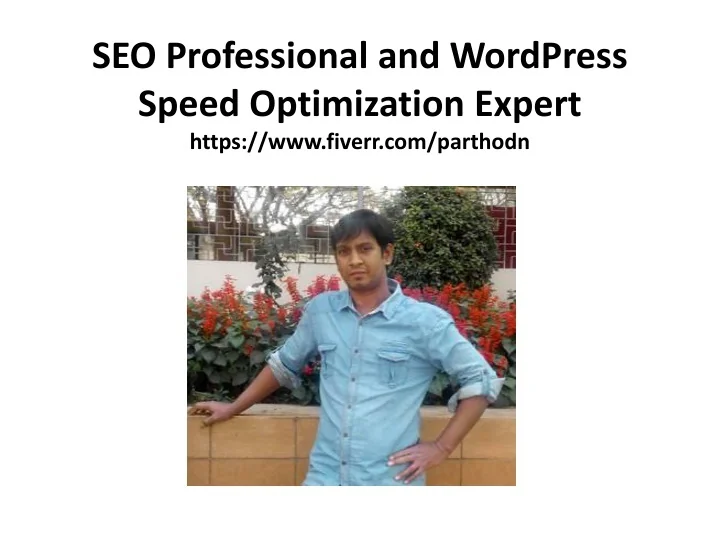 PPT - SEO Professional and WordPress Speed Optimization Expert ...