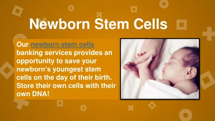newborn stem cells