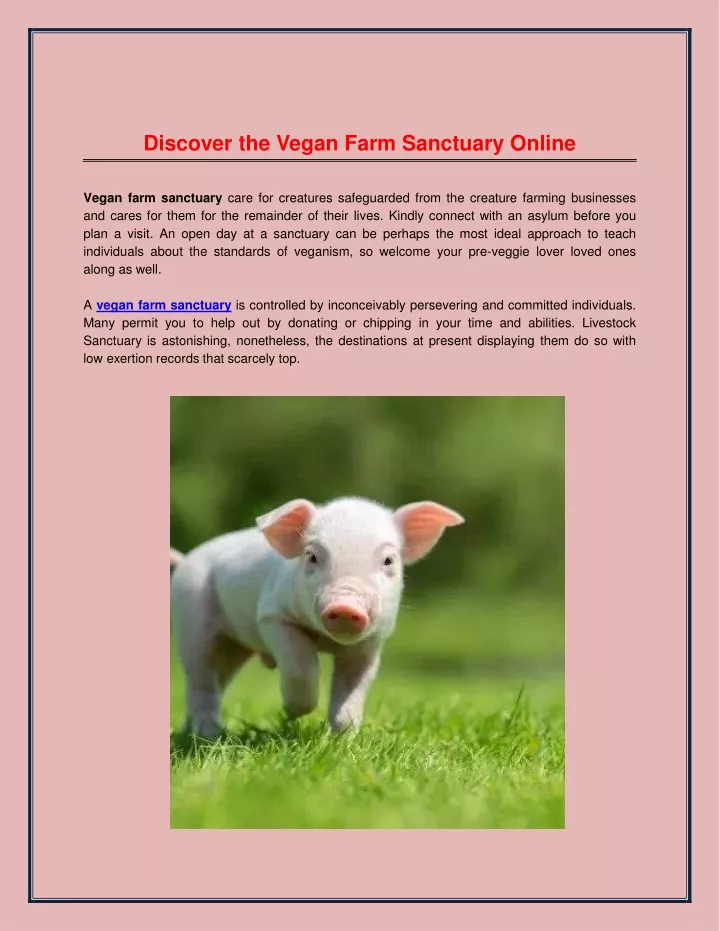 discover the vegan farm sanctuary online