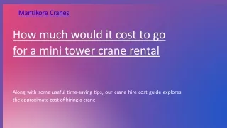 How much would it cost to go for a mini tower crane rental