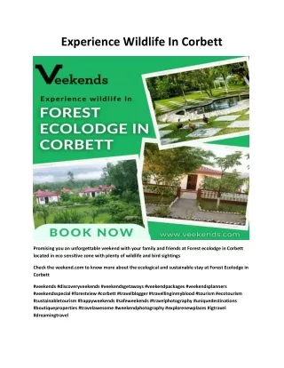 experience wildlife in corbett