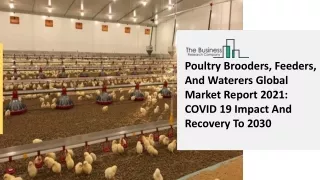 poultry brooders feeders and waterers global
