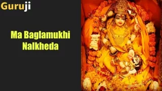 Ma Baglamukhi Top Pandit Ji, Ma Baglamukhi Puja