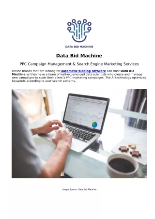 Data Bid Machine - PPC Campaign Management & Search Engine Marketing Services