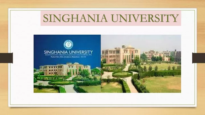 singhania university