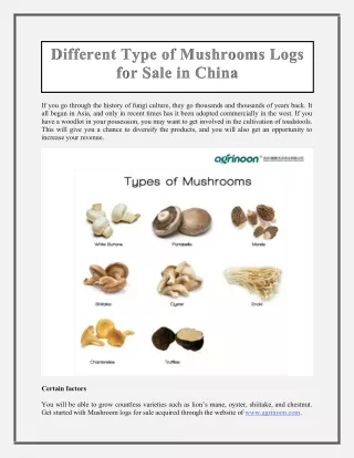 different type of mushrooms logs for sale in china