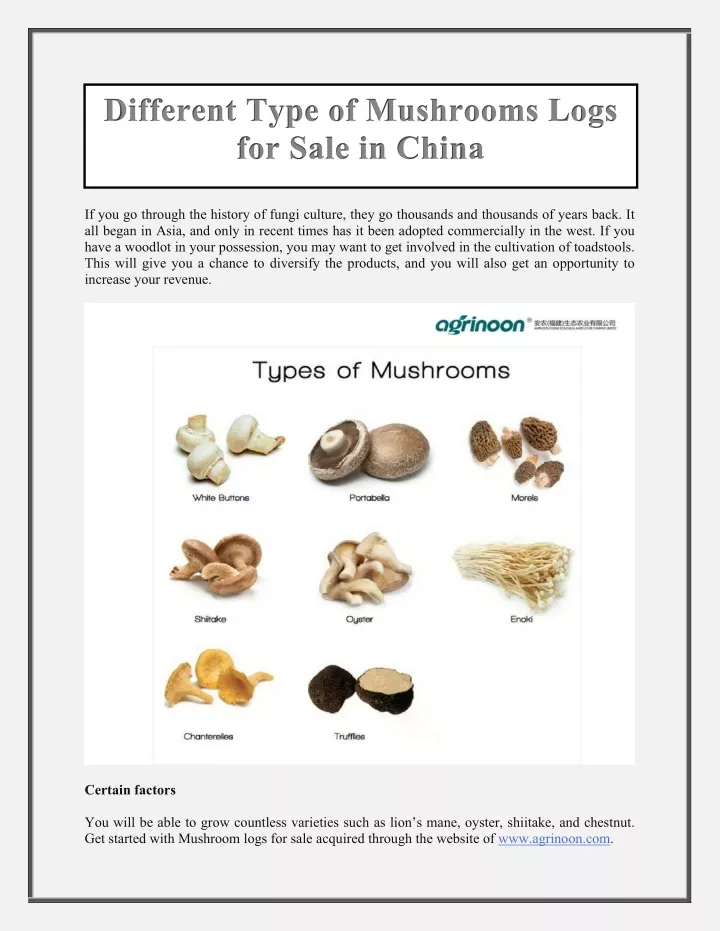 different type of mushrooms logs for sale in china