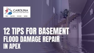 12 Tips for Basement Flood Damage Repair Apex