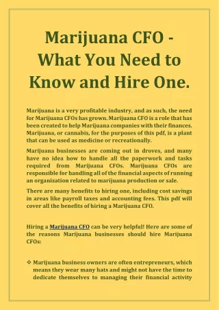 marijuana cfo what you need to know and hire one