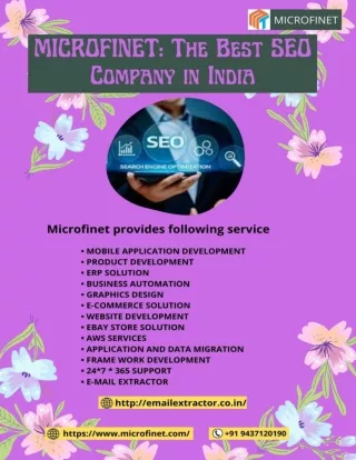 microfinet-the-best-seo-company-in-india-microfinet.com_