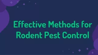 Effective Rodent Control Methods