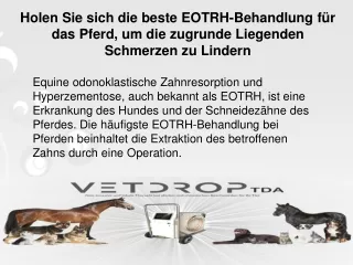 Holen Sie sich die beste EOTRH-Behandlung für das Pferd, um die zugrunde Liegenden Schmerzen zu Lindern