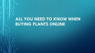 All you need to know when buying plants online