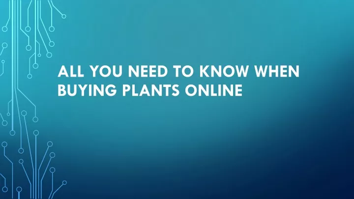all you need to know when buying plants online