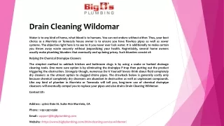 drain cleaning wildomar