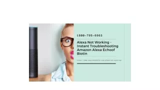 Alexa Not Working Solved 1-8007956963 Alexa Helpline Number