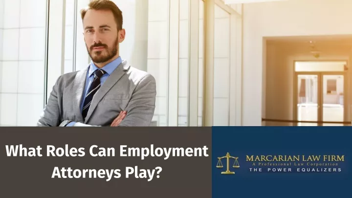 what roles can employment attorneys play