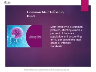 Common Male Infertility Issues At a Glance | Zeeva Fertility Clinic