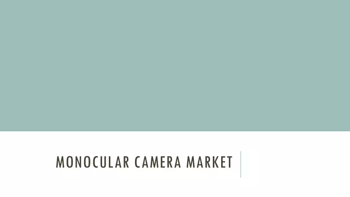monocular camera market