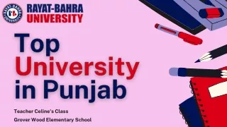 Top University in Punjab