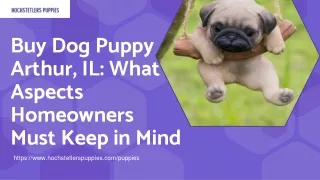 Buy Dog Puppy Arthur, IL: What Aspects Homeowners Must Keep in Mind