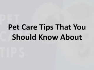 pet care tips that you should know about