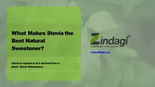Zindagi - Stevia the Best Natural Sweetener