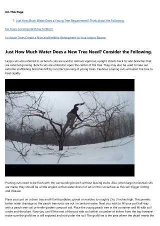 15 Secretly Funny People Working in tree trimming